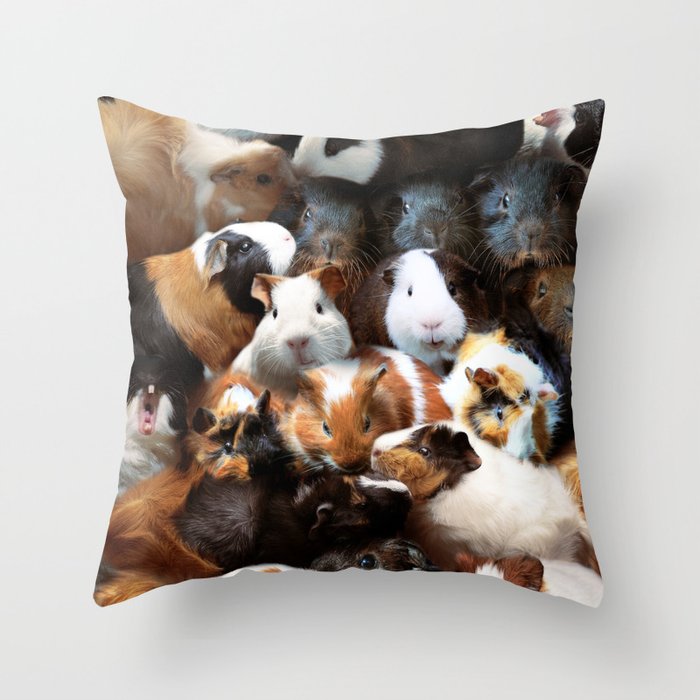Throw Pillow