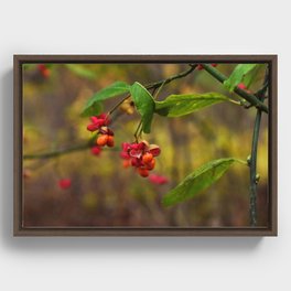 Almost Berries Framed Canvas