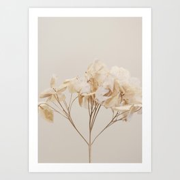 Natural Beige Flower Botanical Art Print