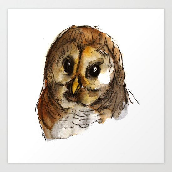 Big-eyed owl Art Print