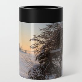 Sunset in the Winter Forest  Can Cooler