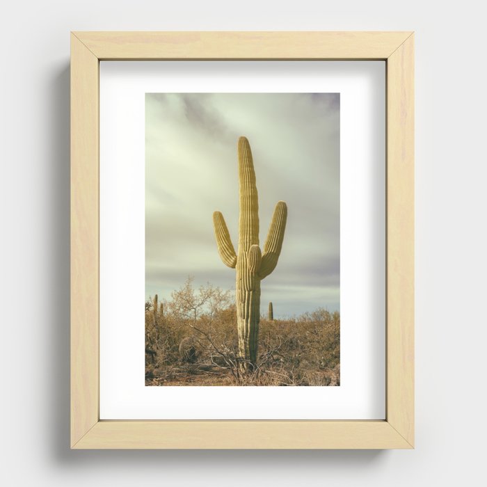 Saguaro  Recessed Framed Print