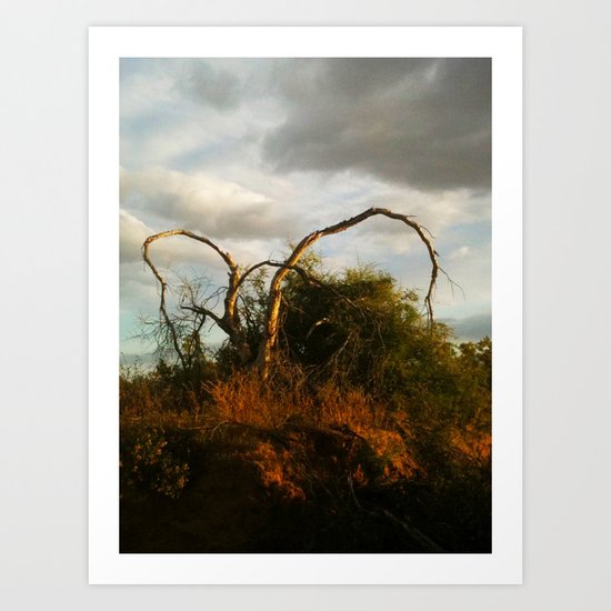 Elephant Art Print