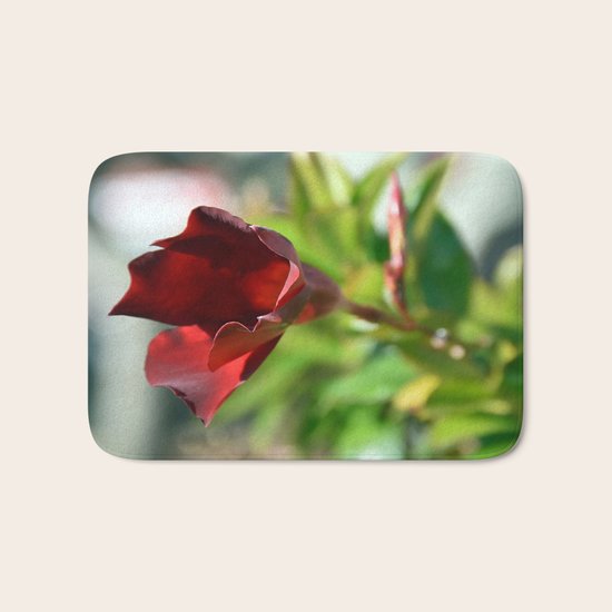 Red Beauty Bath Mat