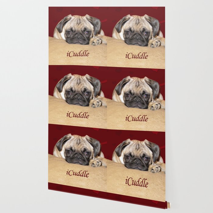 Adorable iCuddle Pug Puppy Wallpaper by