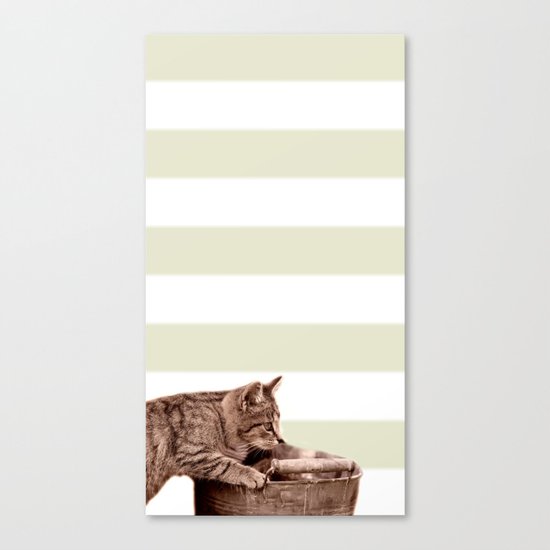 Cat Play Canvas Print