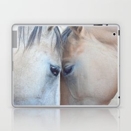 Eye of the Horse Laptop & iPad Skin