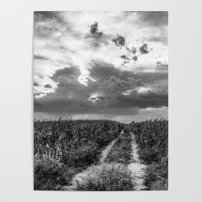 Road to Nowhere - Path in Cornfield Leads to Big Nebraska Sky in Black and White Poster