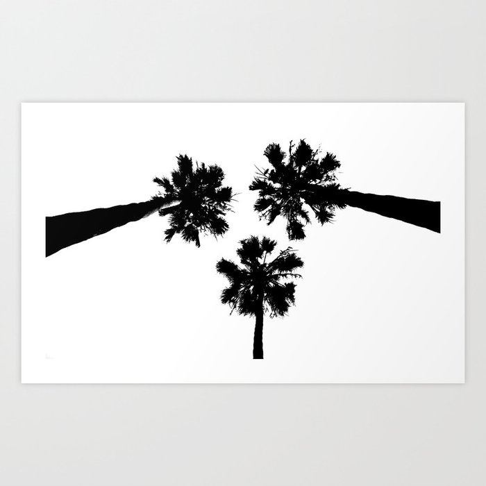 Palm Tree Trio Art Print