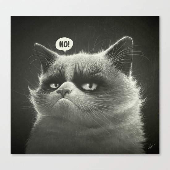 No! Canvas Print