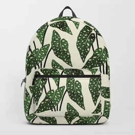begonia maculata interior plant Backpack