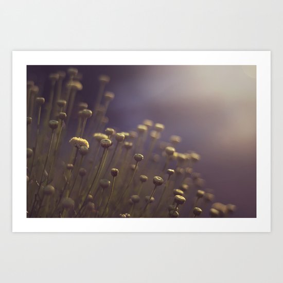 something new under the sun Art Print