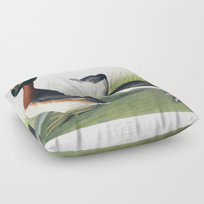 Horned Grebe from Birds of America (1827) by John James Audubon  Floor Pillow