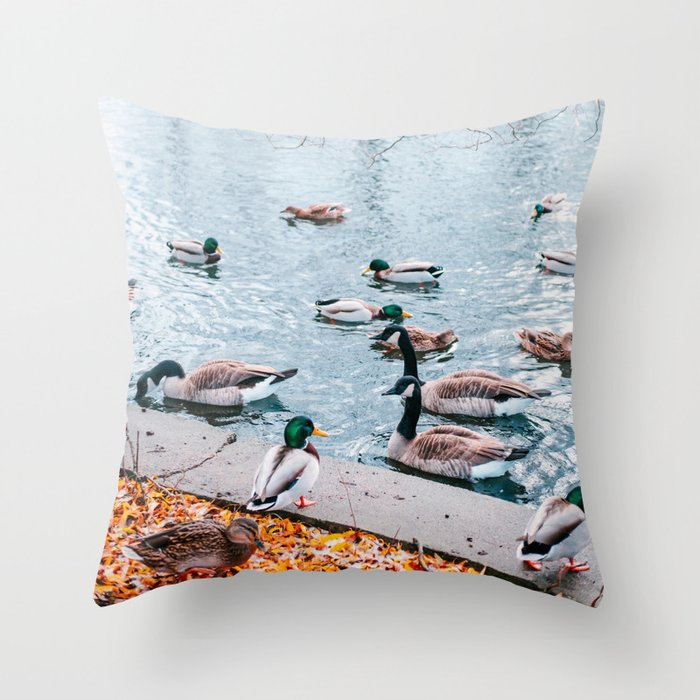 Autumn in the park with swimming birds. Throw Pillow
