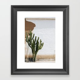 California Cactus Framed Art Print