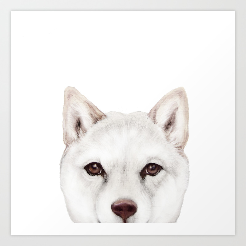 Shiba Inu White Dog Original Painting Print Art Print By