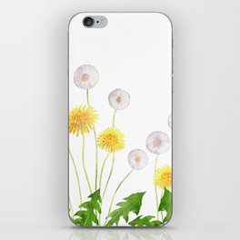 Dandelion 3  iPhone Skin