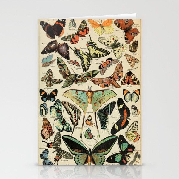 Butterfly Chart Stationery Cards