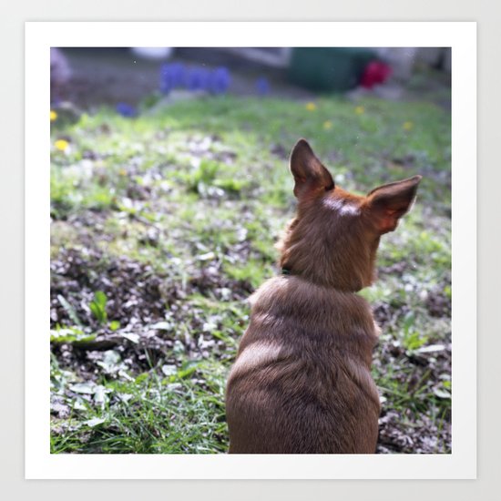 oh, the ears! Art Print