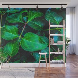 green ivy leaves plant closeup texture background Wall Mural
