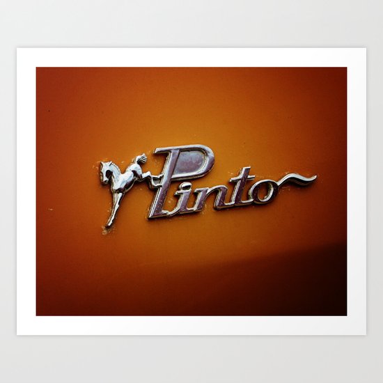 Pinto Art Print