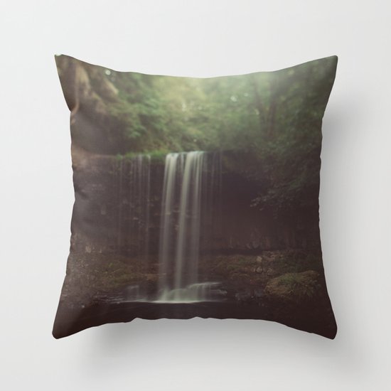 Beaver Falls Throw Pillow