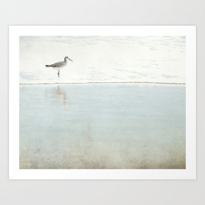 Reflecting Sandpiper Art Print