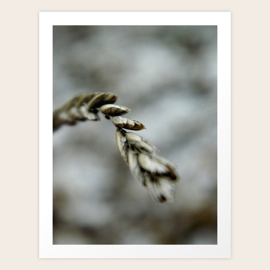 Sway Art Print