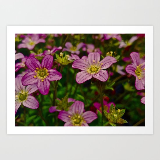 Sweet Little Pink Flowers Art Print