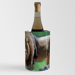 The Young Lion Wine Chiller