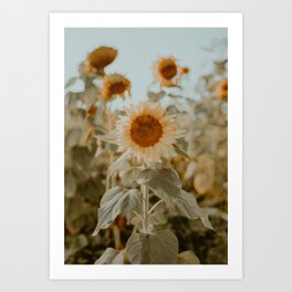 The Little Sunflower that Could Art Print