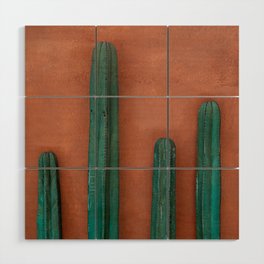 Cactus wall | Travel photography Wood Wall Art