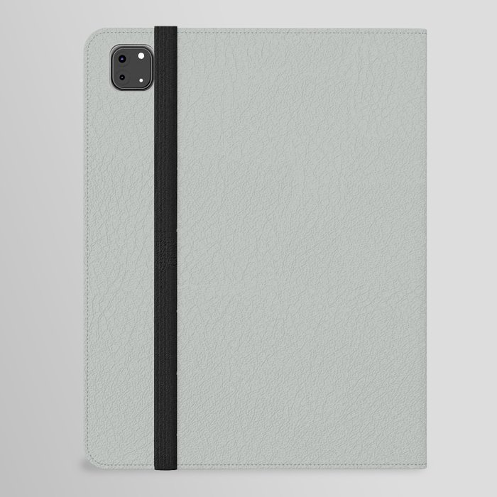 Light Gray Solid Color Pantone Metal 14-4503 TCX Shades of Green Hues iPad Folio Case