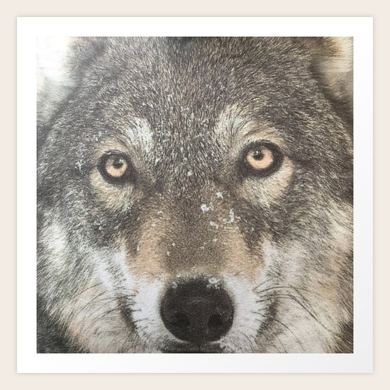 Wolf Art Print
