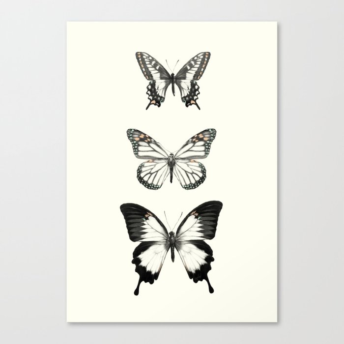 Butterflies // Align Canvas Print