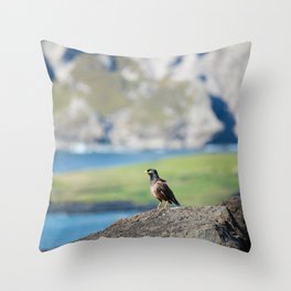 Site Seeing Throw Pillow