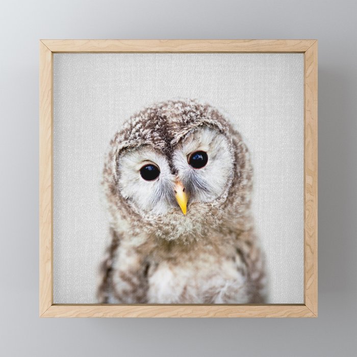 Baby Owl - Colorful Framed Mini Art Print