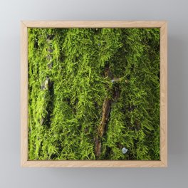 Moss Green, Moss Texture, Textured, Woodland Decor, Nature Art Print, Moss Decor, Nature home, Framed Mini Art Print