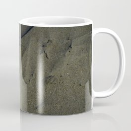 Sanddollar Coffee Mug