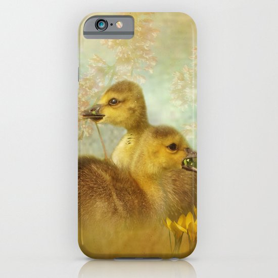 Under the Red Bud Tree iPhone & iPod Case