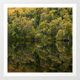 Spectacular Forest Of Trees Reflecting In The Lake Art Print