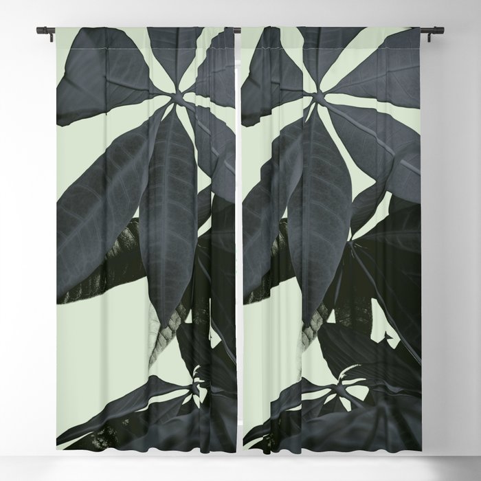 Pachira Aquatica #3 #foliage #decor #art #society6 Blackout Curtain