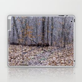 bare winter woods Laptop Skin