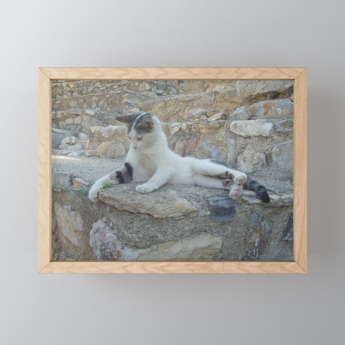 Cat playing with blade of grass Framed Mini Art Print