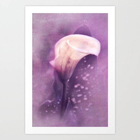 PURPLE CALLA Art Print