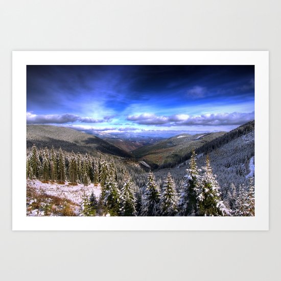 Winter Vision Art Print