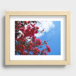 Look Up To The Bougainvillea Recessed Framed Print