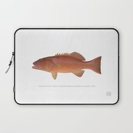 Common Coral Trout Laptop Sleeve