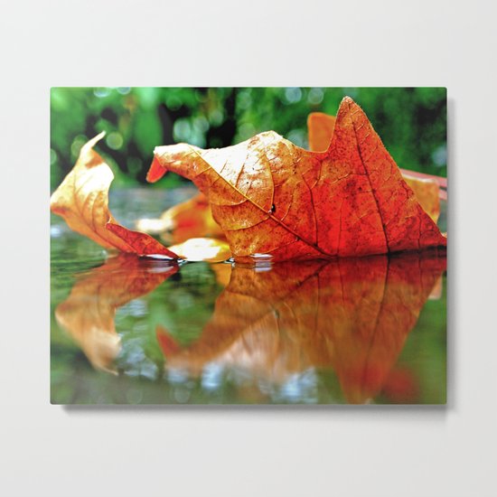 Autumn leaf reflected Metal Print