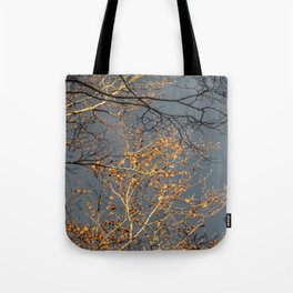 Sky Tote Bag